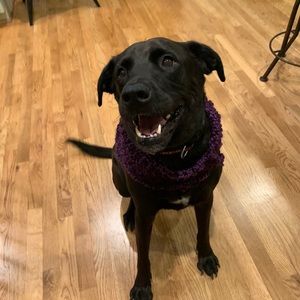 Meet your Posher, Lynley